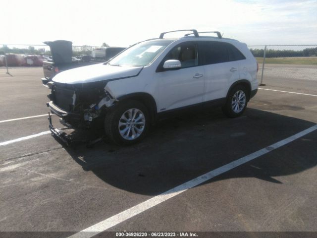 5XYKUDA70EG539977 KIA SORENTO EX