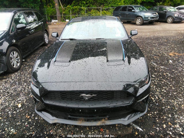 2019 FORD MUSTANG ECOBOOST VIN: 1FA6P8TH1K5160244