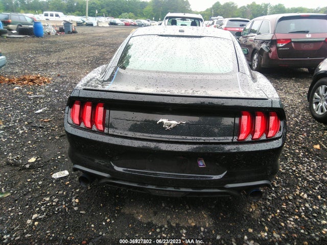 2019 FORD MUSTANG ECOBOOST VIN: 1FA6P8TH1K5160244