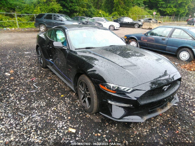 2019 FORD MUSTANG ECOBOOST VIN: 1FA6P8TH1K5160244