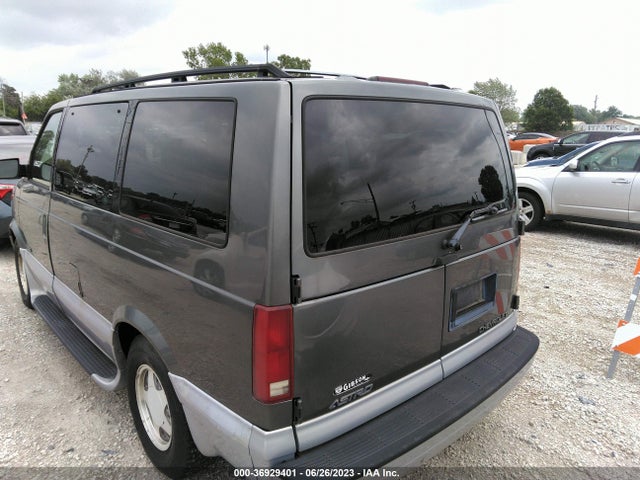 2000 CHEVROLET ASTRO PASSENGER VIN: 1GNDM19W2YB210318