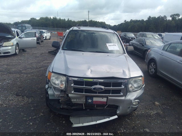 2011 FORD ESCAPE XLT VIN: 1FMCU0DGXBKB08556