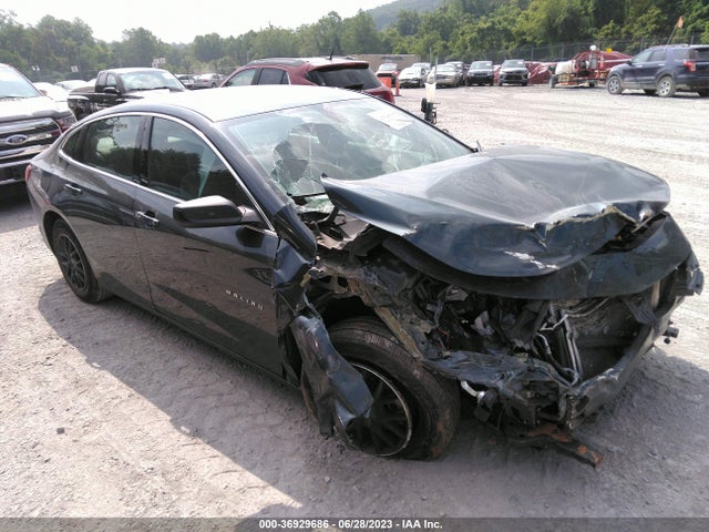 2019 1G1ZB5ST4KF206016 main image