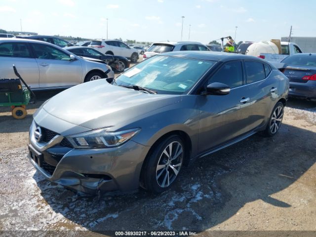 1N4AA6APXHC385194 Nissan MAXIMA SL