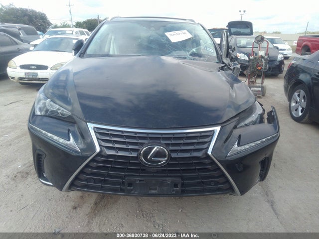 JTJDARBZ1M2191305 Lexus Nx Nx 300