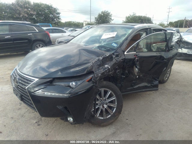 JTJDARBZ1M2191305 Lexus Nx Nx 300