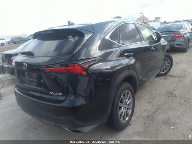 JTJDARBZ1M2191305 Lexus Nx Nx 300