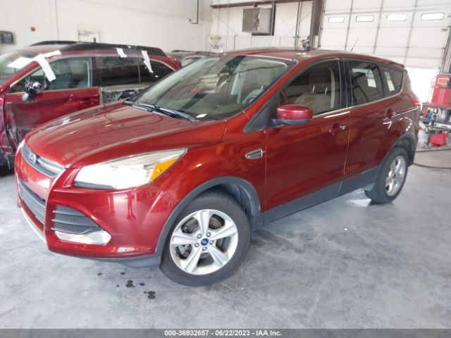 1FMCU9GX2FUB50939 Ford ESCAPE SE