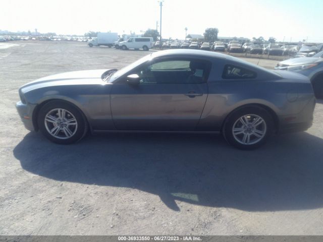 1ZVBP8AM4E5284986 Ford Mustang V6