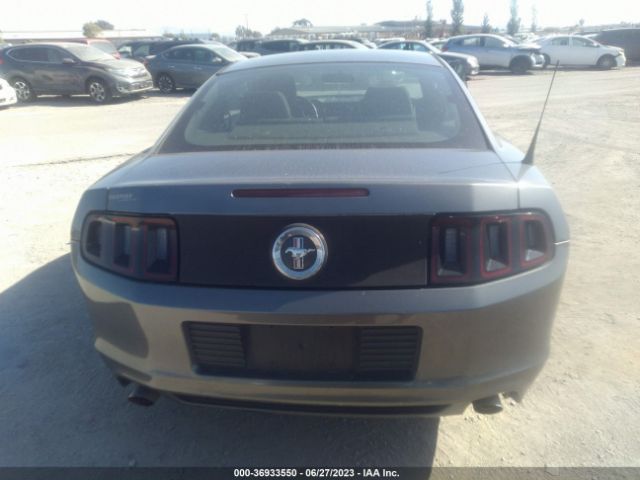 1ZVBP8AM4E5284986 Ford Mustang V6