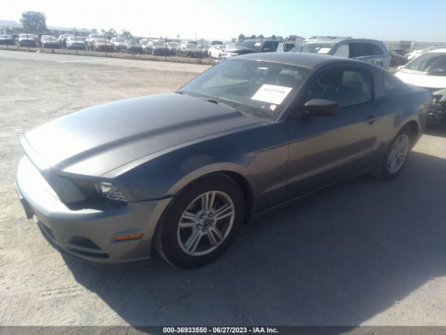 1ZVBP8AM4E5284986 Ford Mustang V6
