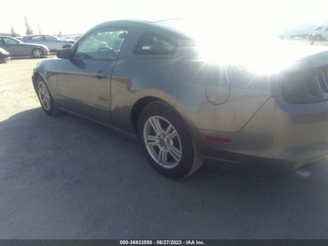 1ZVBP8AM4E5284986 Ford Mustang V6