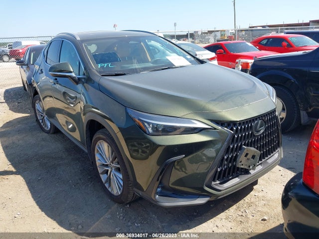 2023 Lexus NX, VIN: 2T2GKCEZ3PC012706