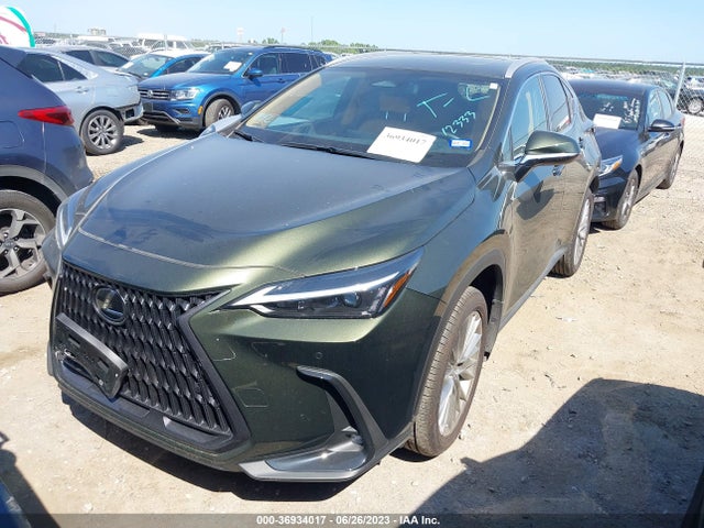 2023 Lexus NX, VIN: 2T2GKCEZ3PC012706