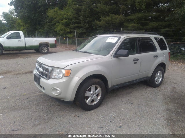 2009 FORD ESCAPE XLT VIN: 1FMCU03G19KD15588
