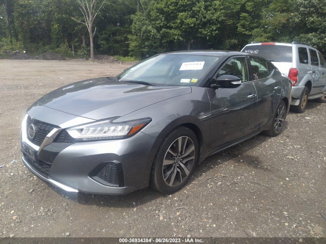 2019 NISSAN MAXIMA SV VIN: 1N4AA6AV6KC379477