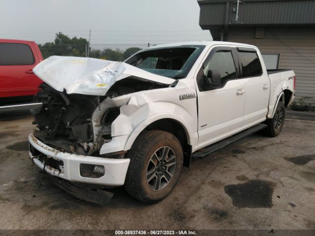 1FTEW1EP3FFB41120 Ford F-150 Xlt/xl/lariat