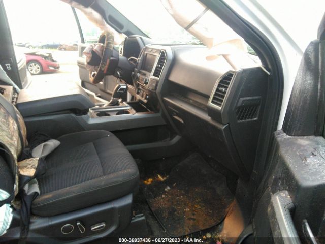 1FTEW1EP3FFB41120 Ford F-150 Xlt/xl/lariat
