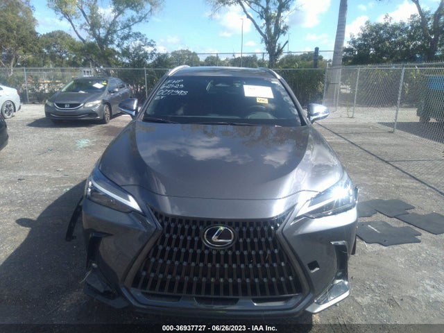2024 Lexus NX, VIN: 2T2ADCAZ3RC007398
