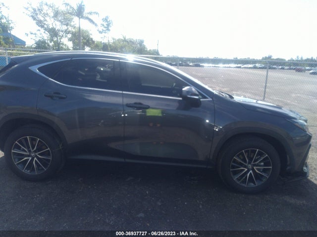 2024 Lexus NX, VIN: 2T2ADCAZ3RC007398