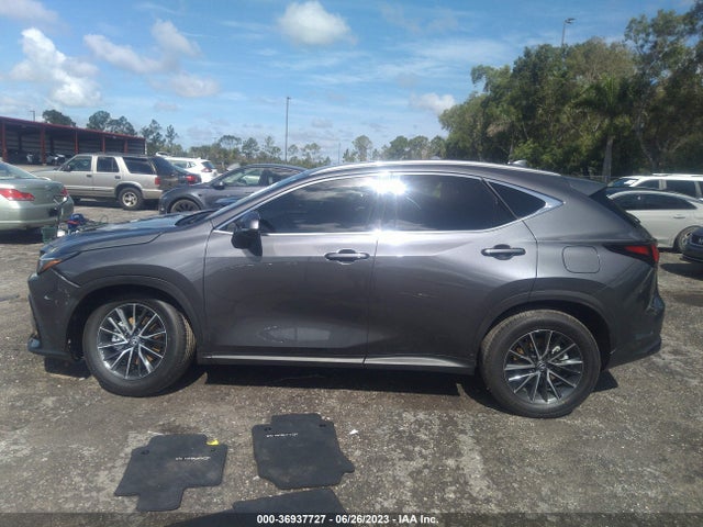 2024 Lexus NX, VIN: 2T2ADCAZ3RC007398