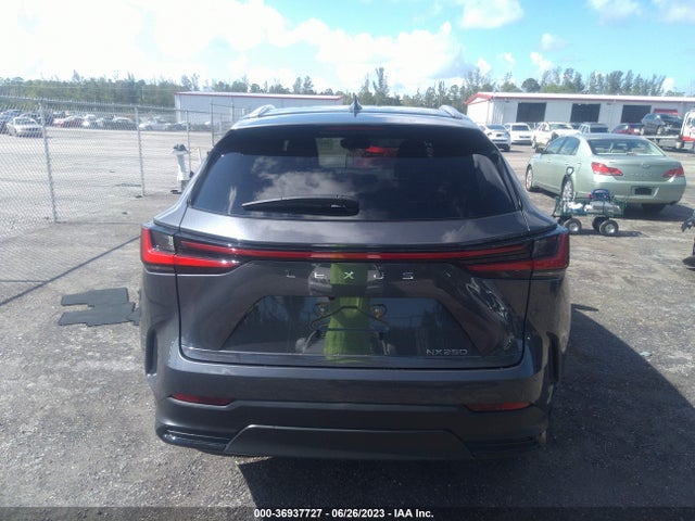 2024 Lexus NX, VIN: 2T2ADCAZ3RC007398