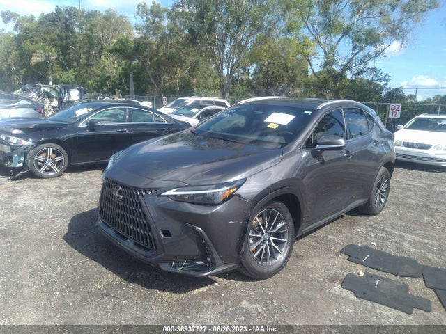2024 Lexus NX, VIN: 2T2ADCAZ3RC007398