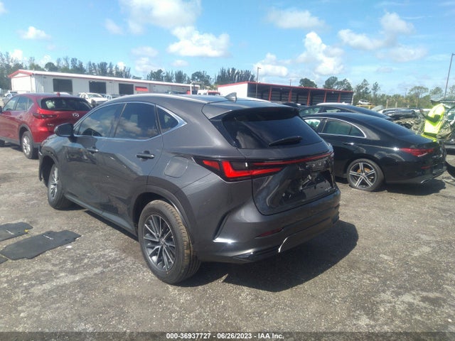 2024 Lexus NX, VIN: 2T2ADCAZ3RC007398