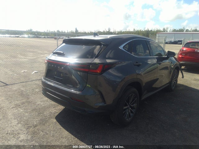 2024 Lexus NX, VIN: 2T2ADCAZ3RC007398