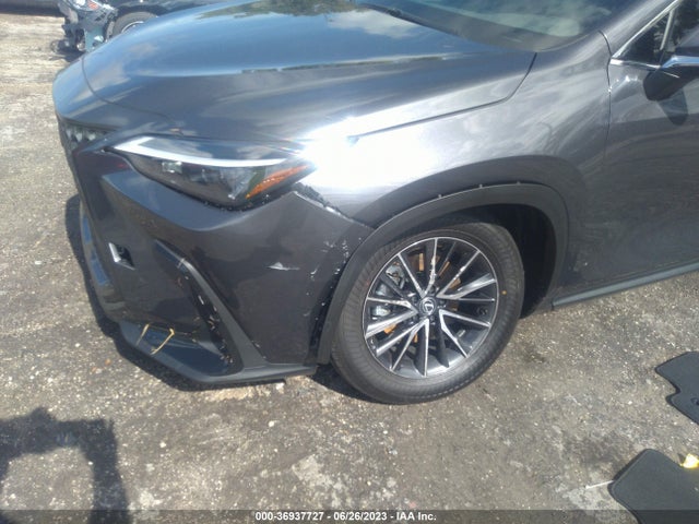 2024 Lexus NX, VIN: 2T2ADCAZ3RC007398