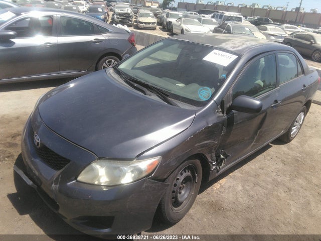 2010 TOYOTA COROLLA VIN: 2T1BU4EE6AC429532