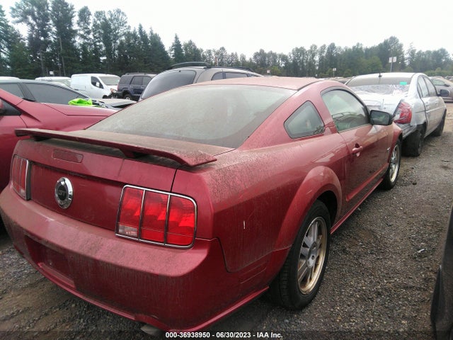 2005 FORD MUSTANG GT VIN: 1ZVHT82H155146846
