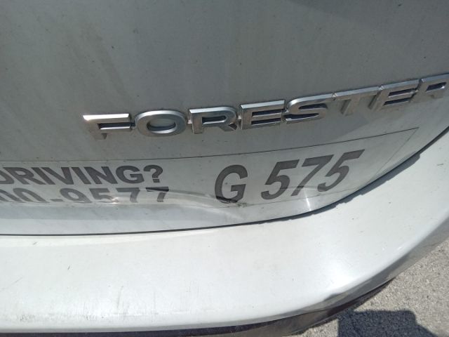 JF2SKAAC9LH582480 Subaru FORESTER
