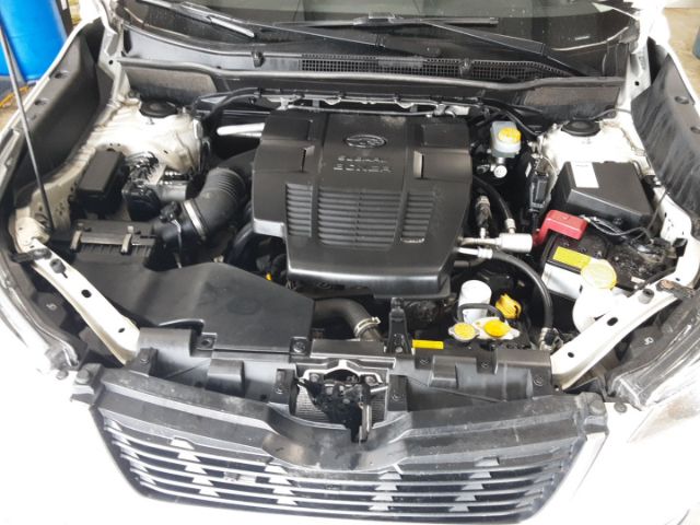 JF2SKAAC9LH582480 Subaru FORESTER