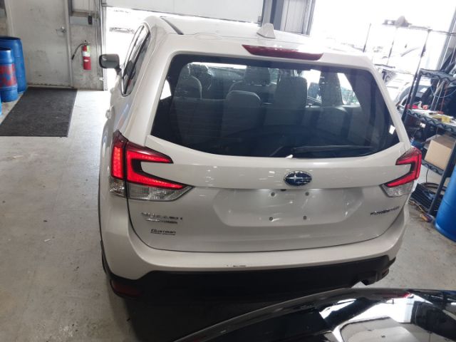 JF2SKAAC9LH582480 Subaru FORESTER