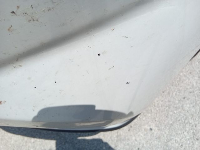 JF2SKAAC9LH582480 Subaru FORESTER