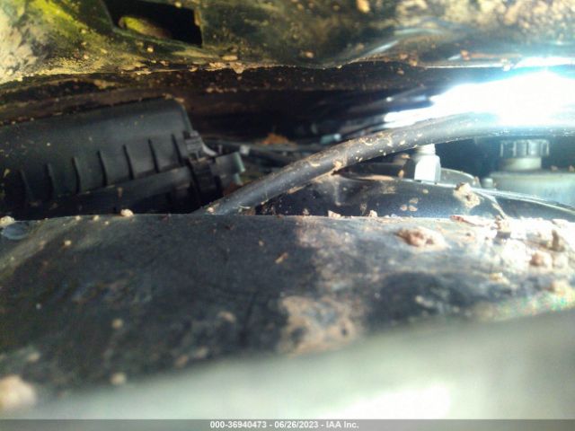 1FA6P8AM6H5202027 Ford Mustang V6