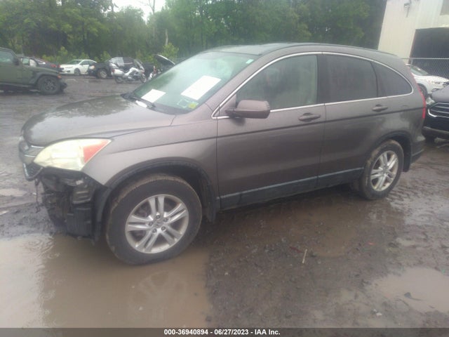 2010 HONDA CR-V EX-L VIN: 5J6RE4H7XAL001071
