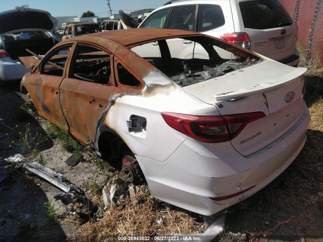 Hyundai Sonata 2.4l 2017 5NPE24AFXHH519792 Image 3