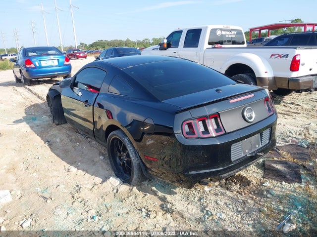 2013 FORD MUSTANG GT VIN: 1ZVBP8CF3D5200377
