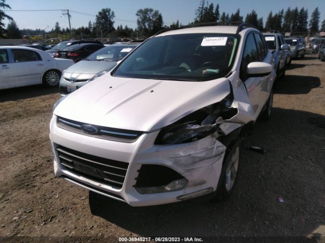 1FMCU9GX7EUC01785 Ford ESCAPE SE