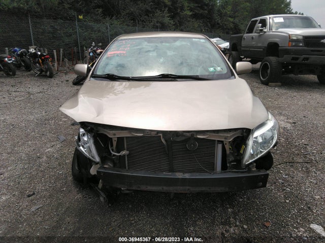 2010 TOYOTA COROLLA VIN: 2T1BU4EE6AC325932