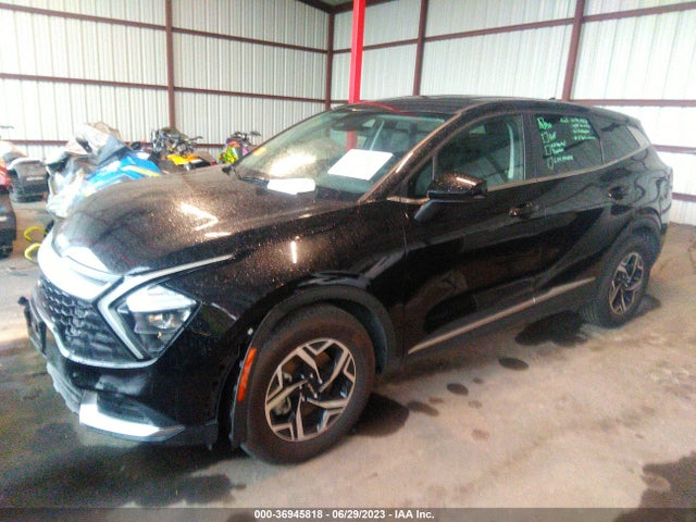 2023 KIA SPORTAGE LX VIN: KNDPU3AF5P7035612