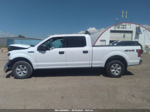 1FTFW1EF4FKE00619 Ford F-150 Xlt W