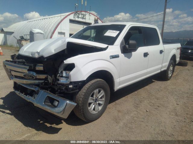 1FTFW1EF4FKE00619 Ford F-150 Xlt W