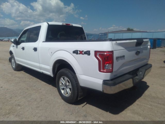1FTFW1EF4FKE00619 Ford F-150 Xlt W