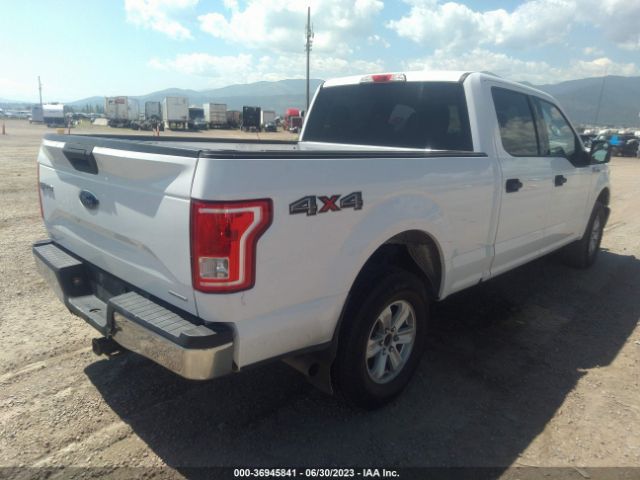 1FTFW1EF4FKE00619 Ford F-150 Xlt W