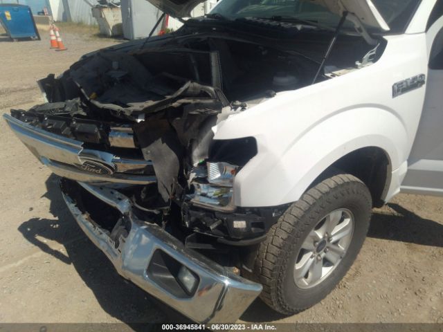 1FTFW1EF4FKE00619 Ford F-150 Xlt W