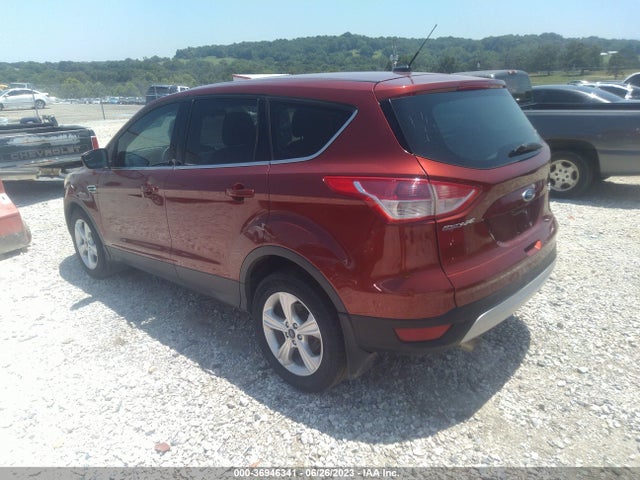Ford ESCAPE SE 2014 1FMCU9GX9EUB62651 Image 4