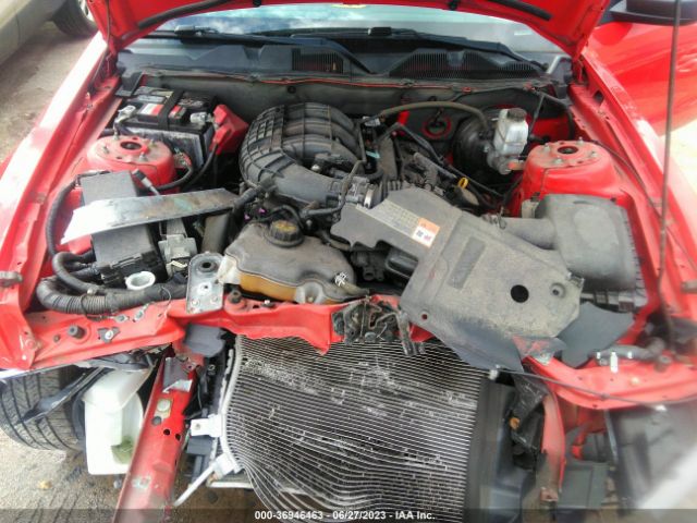 1ZVBP8AM2E5323896 Ford Mustang V6